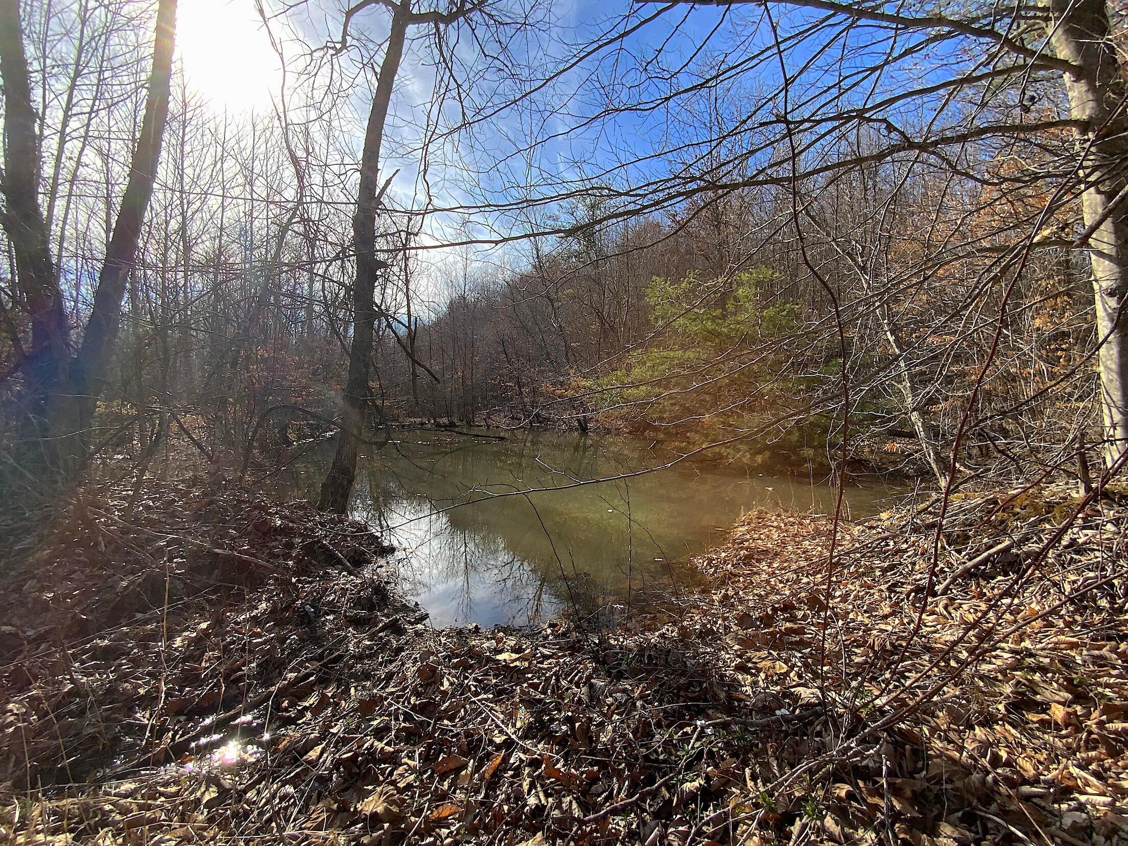 0 Kelly Road Ray, OH 45672 - Photo 34 of 46 Vinton County Kelly Rd 33