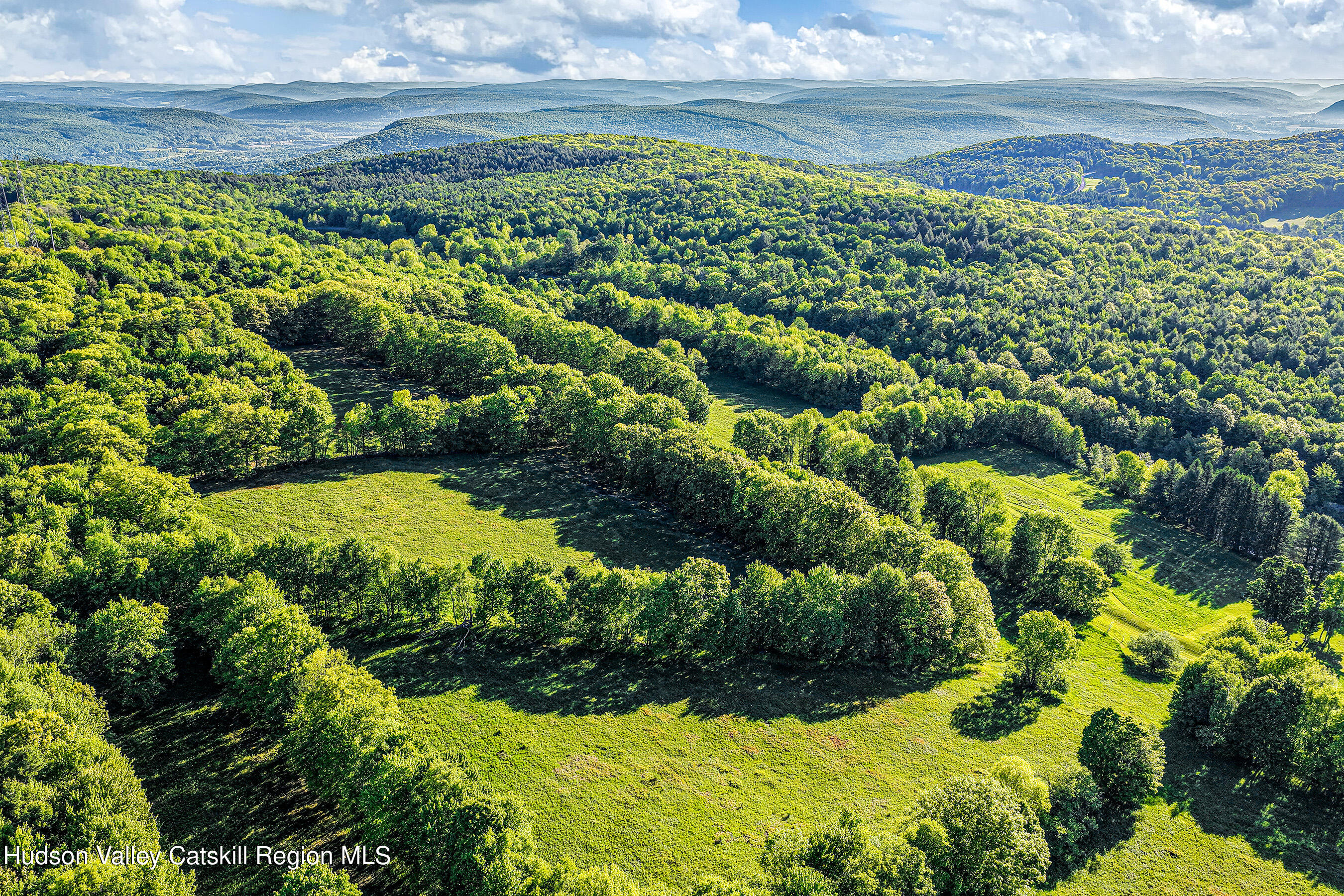 0 Frank Slawson Road Oneonta, NY 13820 - Photo 13 of 29 DJI_20260603071747_0514_D-Edit-Edit