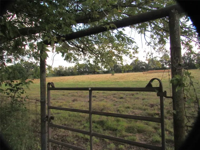 a view of backyard with green space