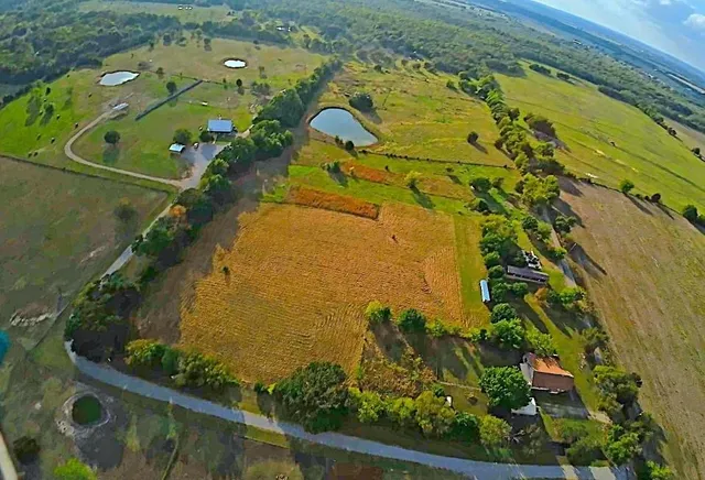 a view of outdoor space and yard