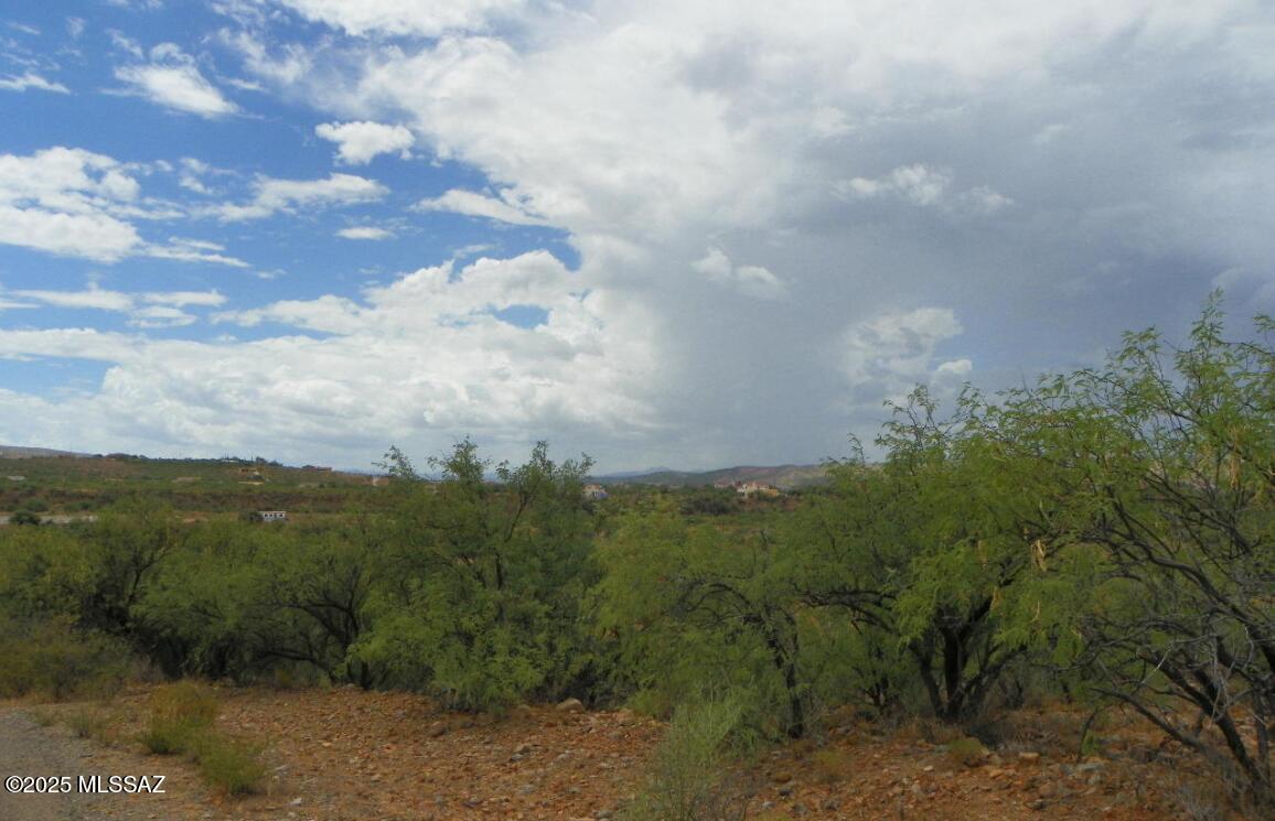 17 Calle Cuba Rio Rico, AZ 85648 - Photo 3 of 4 Gallery Image 3
