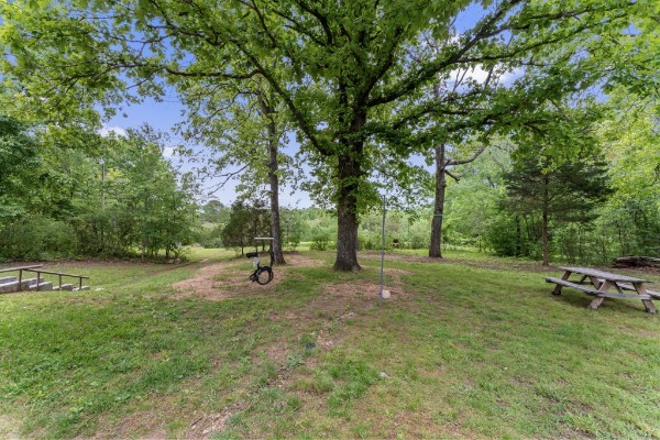 121 Hannah Road Summertown, TN 38483 - Photo 51 of 52 a view of a park with large trees