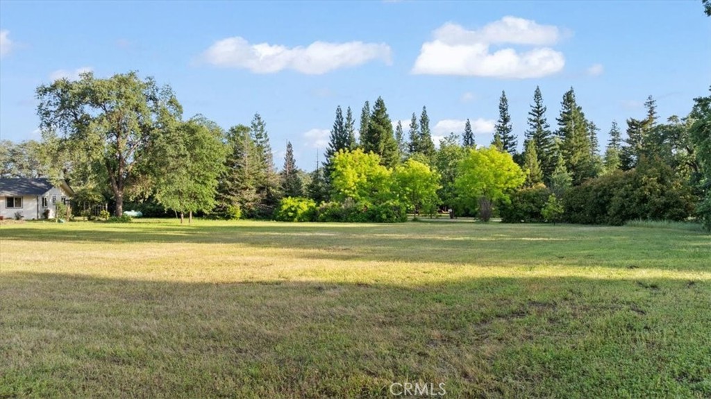 3795 Steamboat Rock Road Butte Valley, CA 95965 - Photo 37 of 45