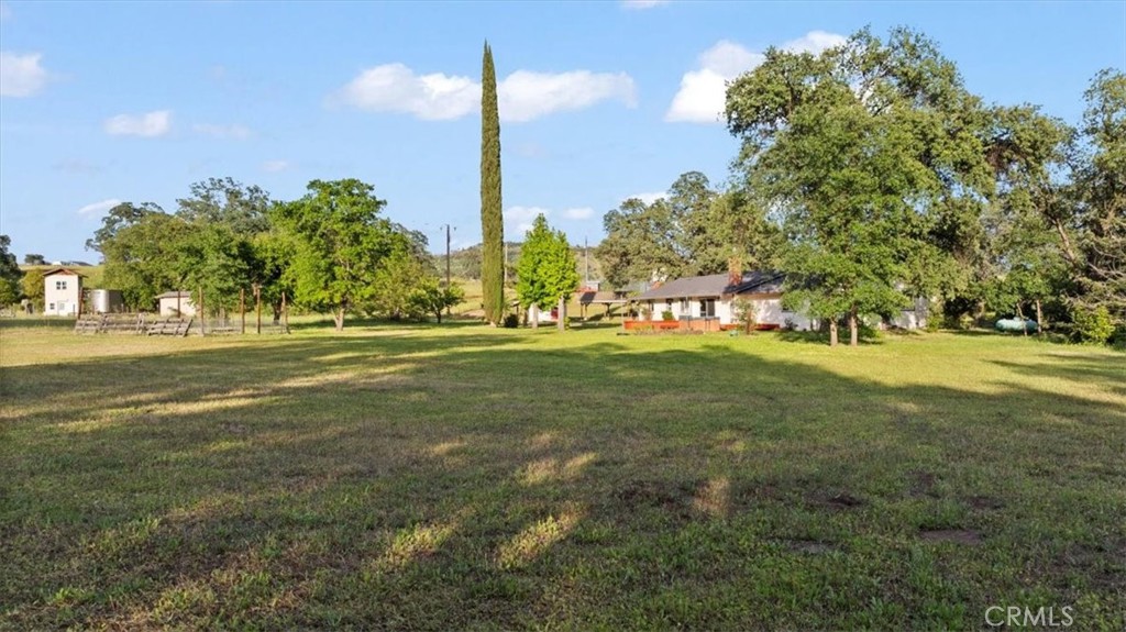 3795 Steamboat Rock Road Butte Valley, CA 95965 - Photo 38 of 45