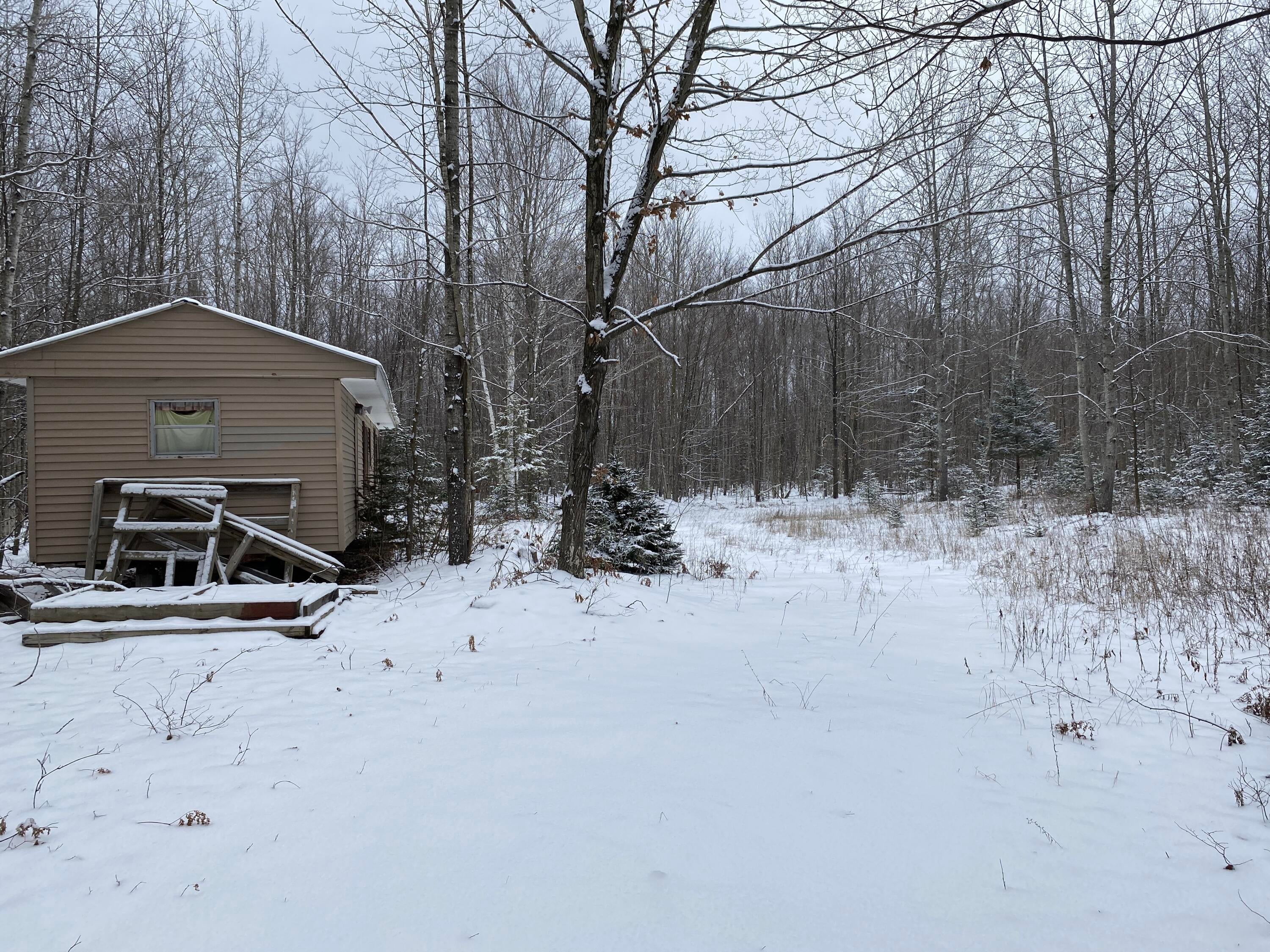 Peters Road Posen, MI 49776 - Photo 5 of 13 Gallery Image 5