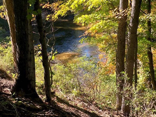 H Tomasek Road Thompsonville, MI 49683 - Photo 1 of 16 Gallery Image 1