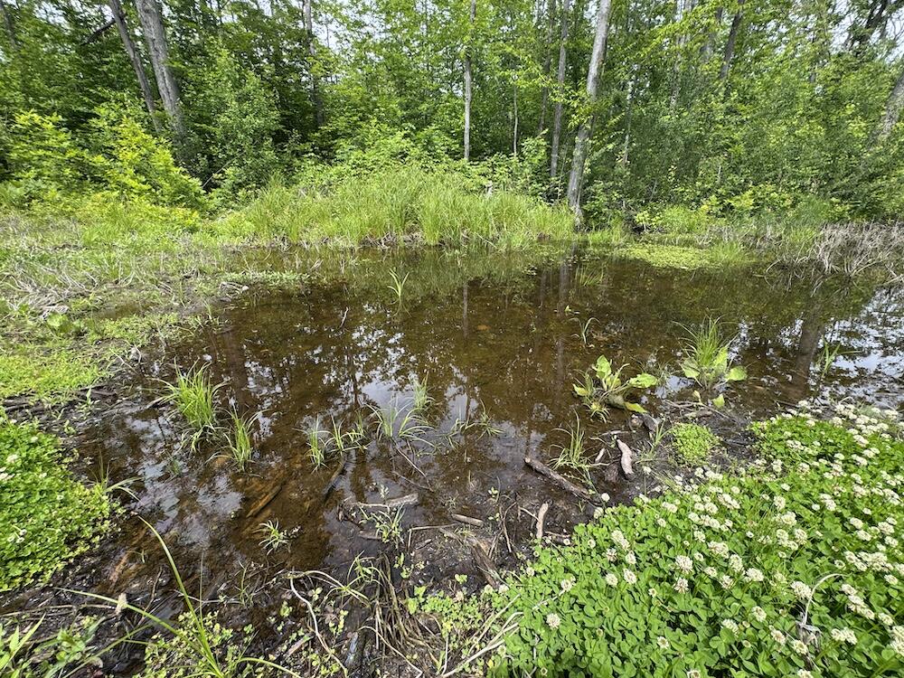1692 North Galbraith Road Mio, MI 48647 - Photo 8 of 82 5