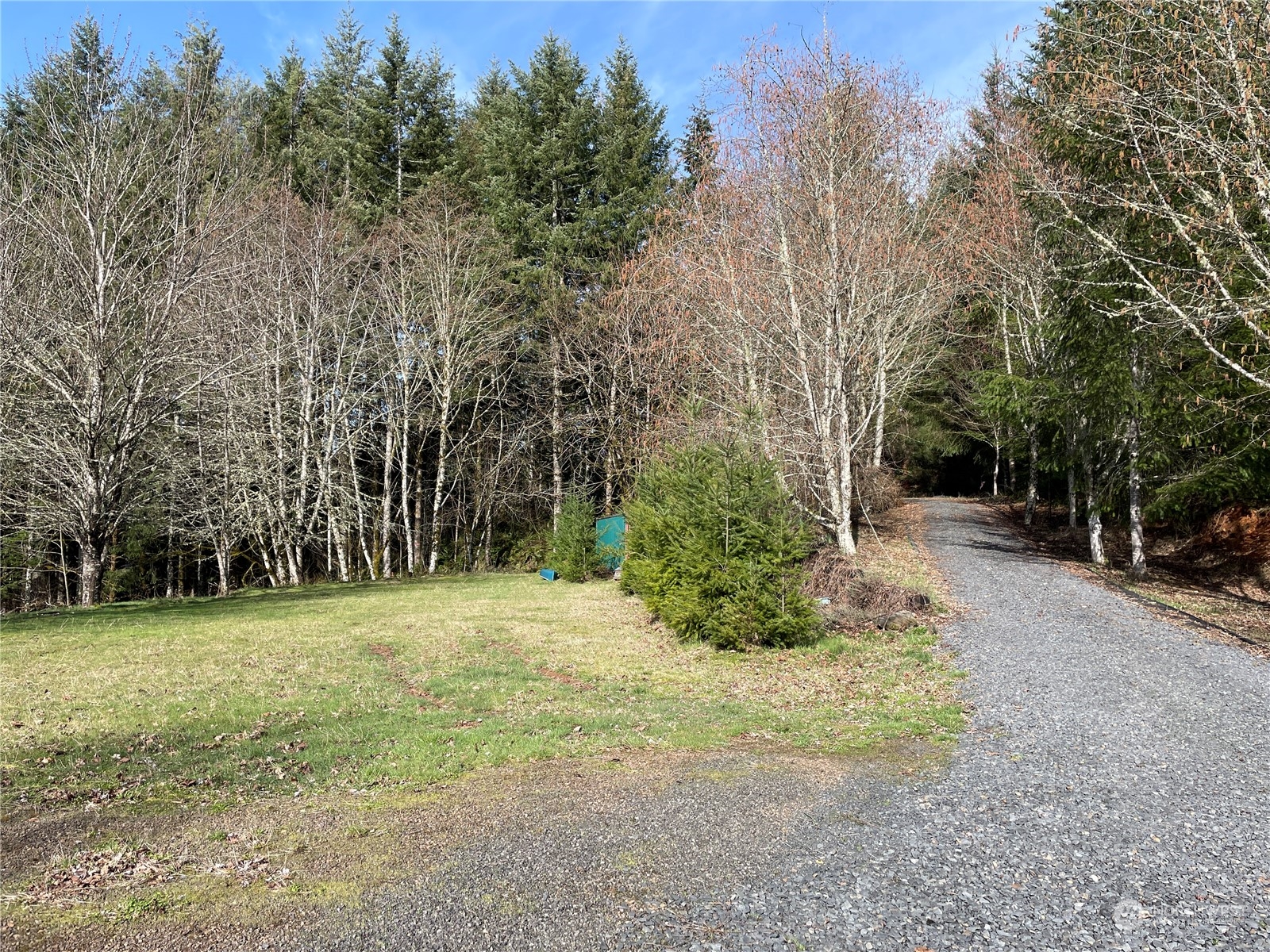 254 Tangen Road Woodland, WA 98674 - Photo 11 of 26 Gallery Image 11