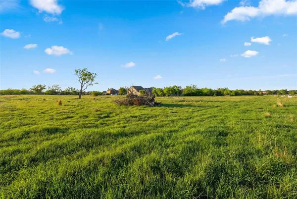 a view of an ocean from a yard