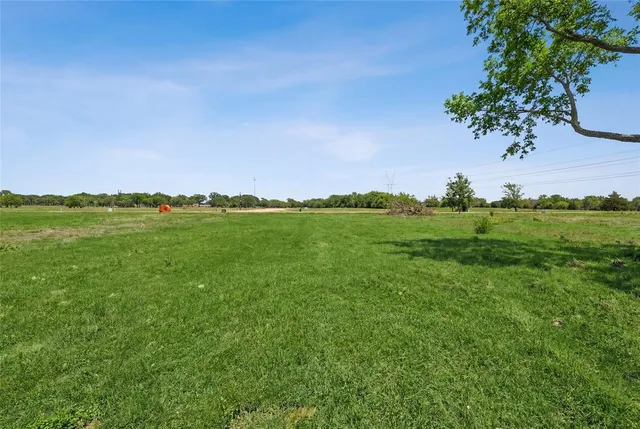 a view of a grassy field with trees and grass