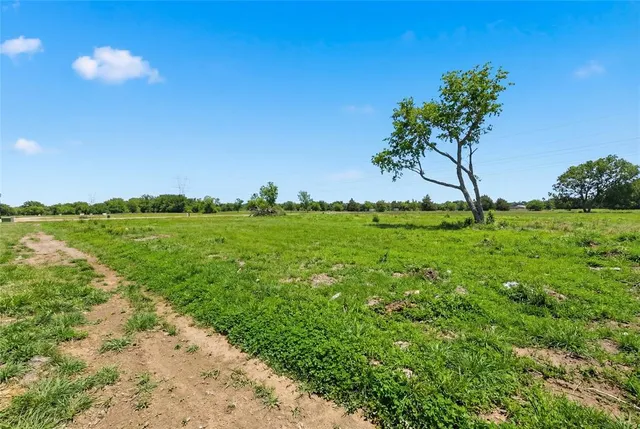 a view of a field with an ocean