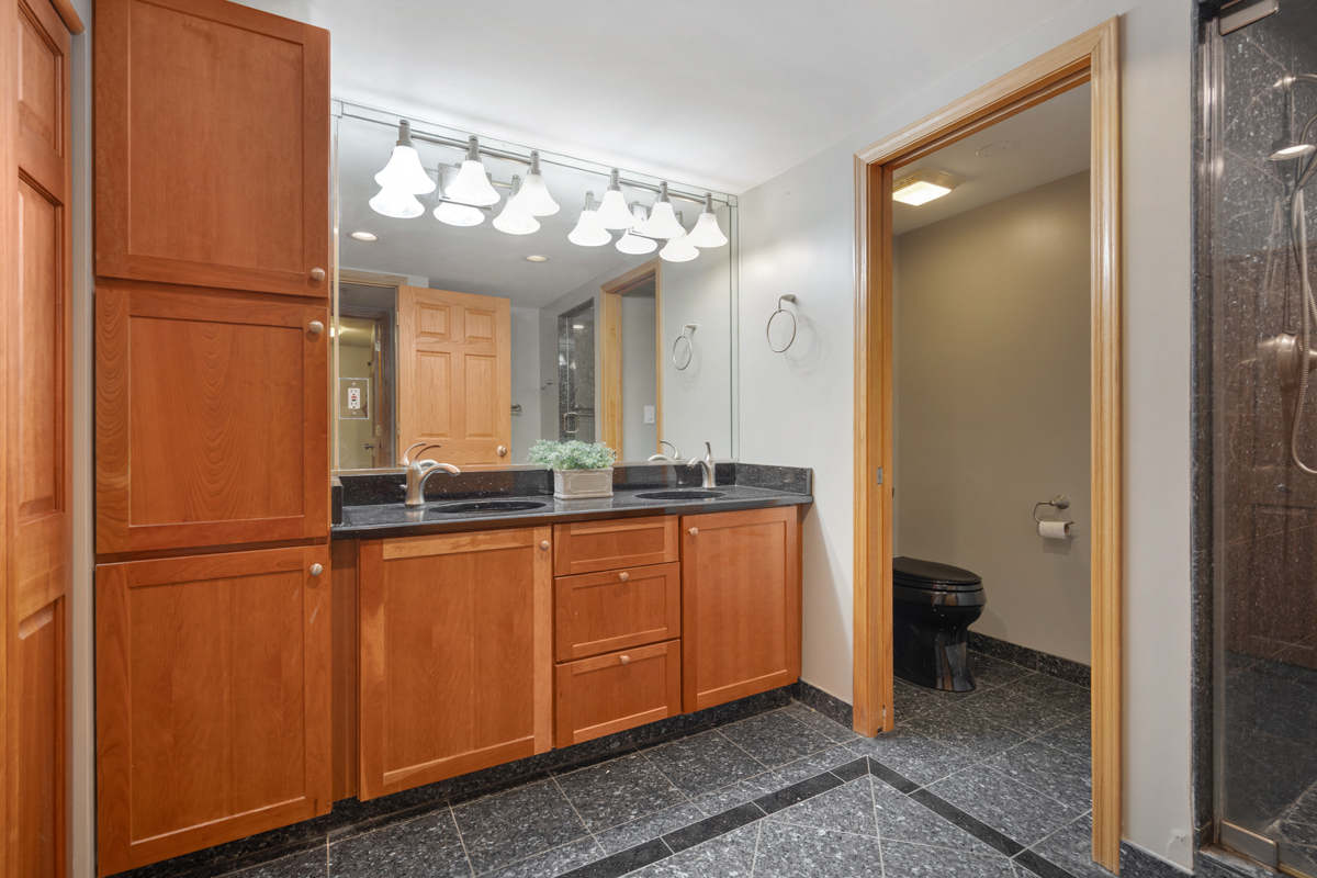 248 East Schick Road Bloomingdale, IL 60108 - Photo 20 of 27 Gallery Image 20