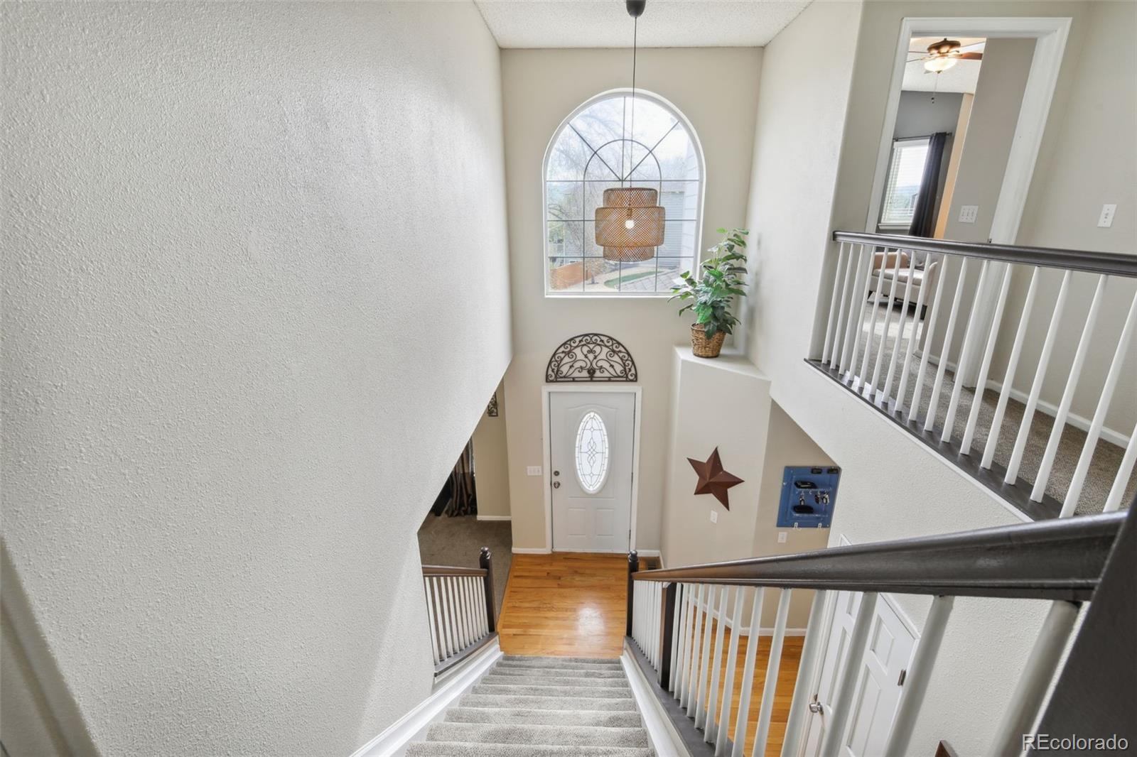 9954 Silver Maple Way Highlands Ranch, CO 80129 - Photo 11 of 21 Gallery Image 11
