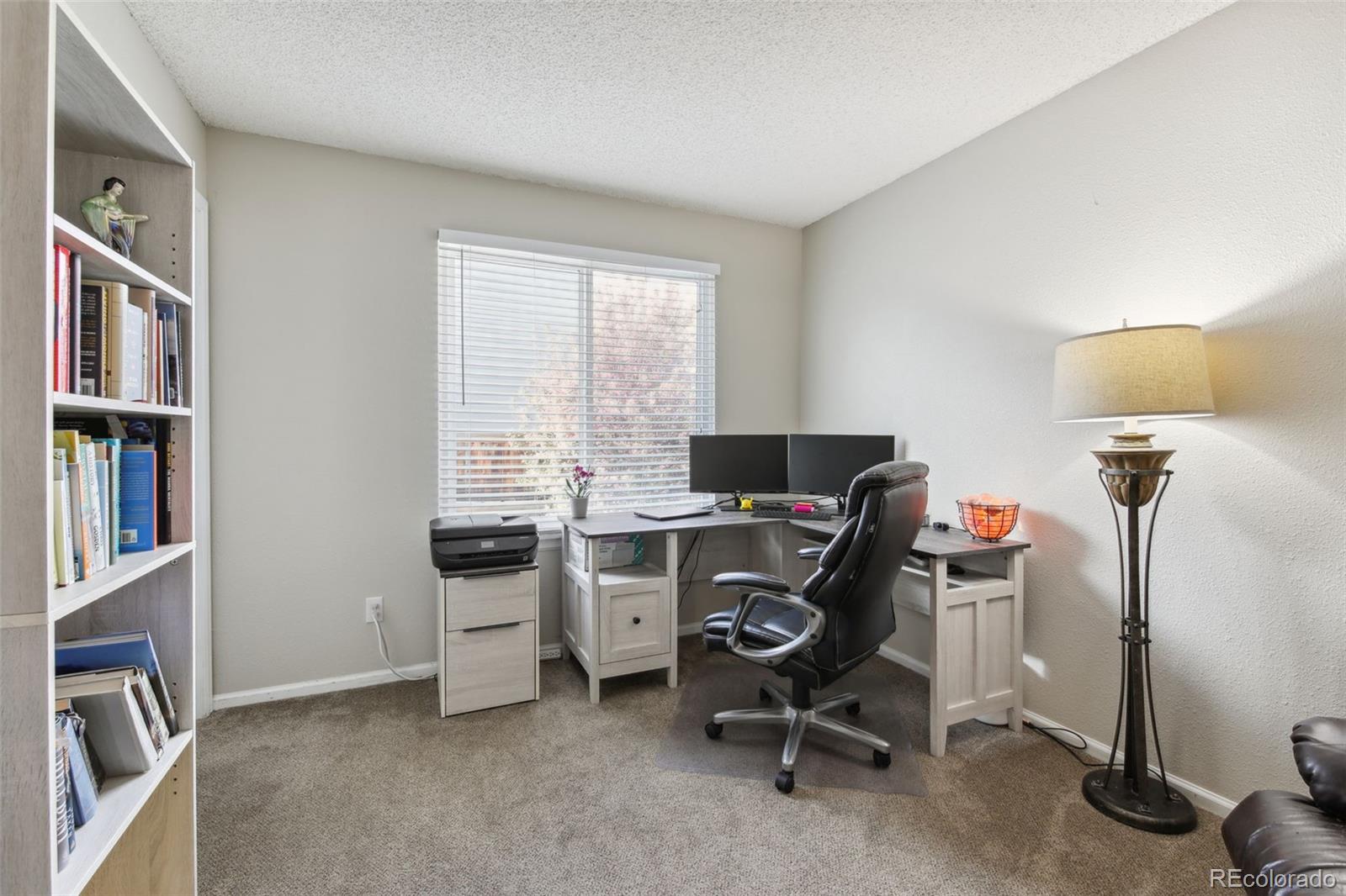 9954 Silver Maple Way Highlands Ranch, CO 80129 - Photo 8 of 21 Gallery Image 8