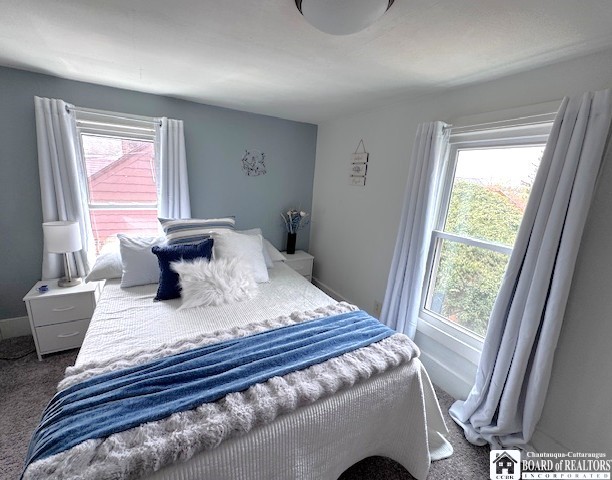 605 Swan Street Dunkirk, NY 14048 - Photo 29 of 40