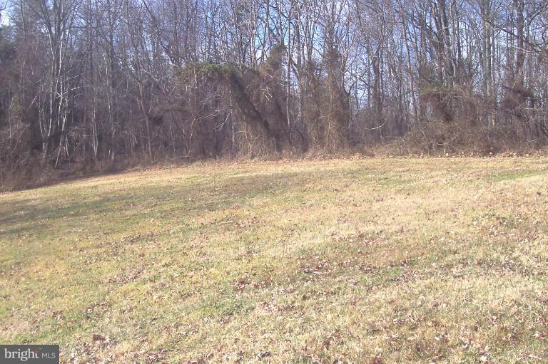 5120 Rixeyville Road Jeffersonton, VA 22724 - Photo 10 of 15 Back Yard