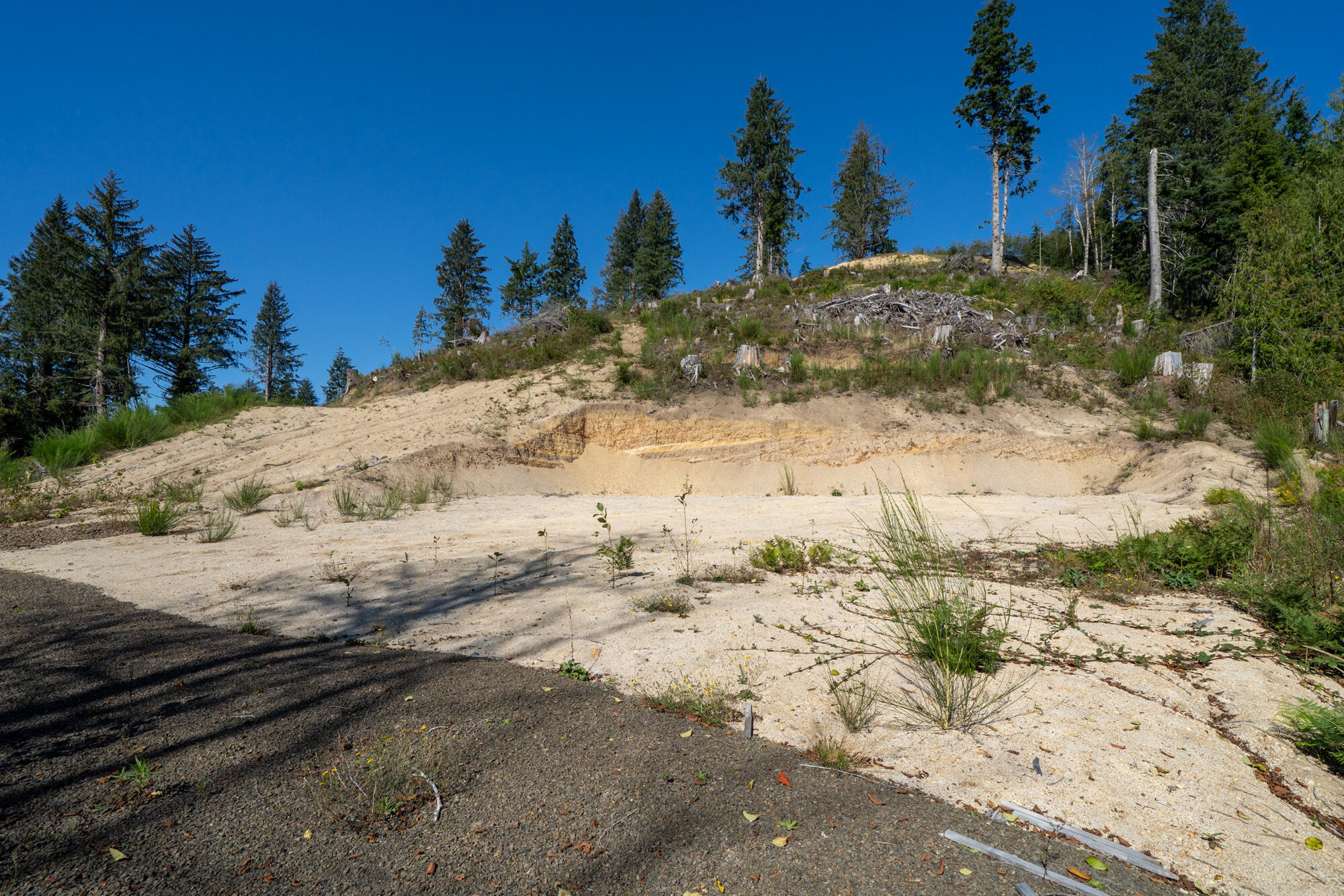 1207 Sandlake Road Cloverdale, OR 97112 - Photo 7 of 33 Flat Building Site