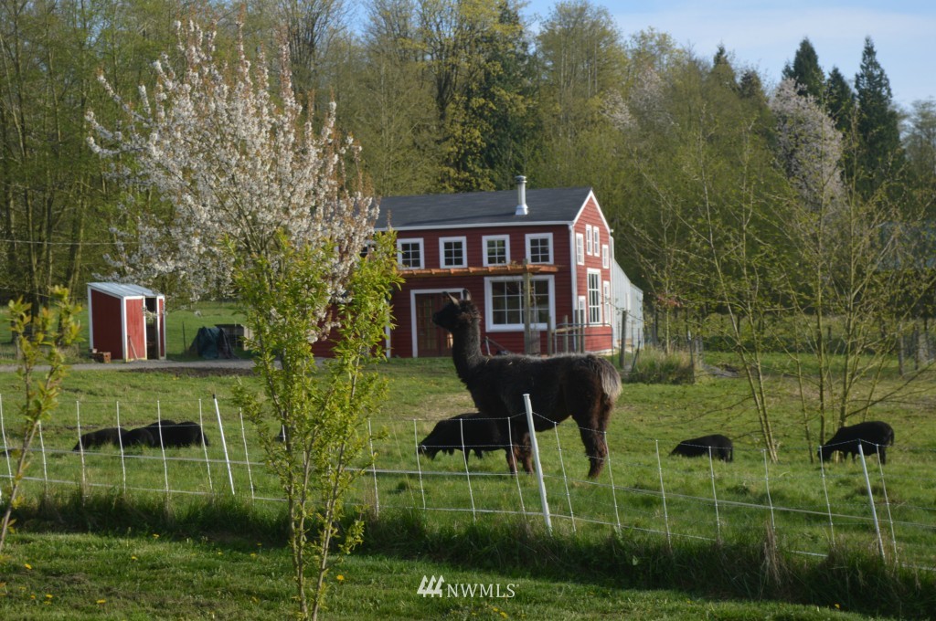 3109 Brown Road Ferndale, WA 98248 - Photo 7 of 25