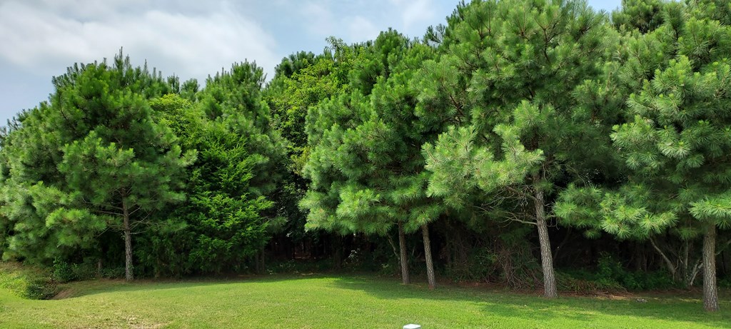 Lot 5 Bradfords Neck Road, Unit 5 Melfa, VA 23410 - Photo 3 of 6