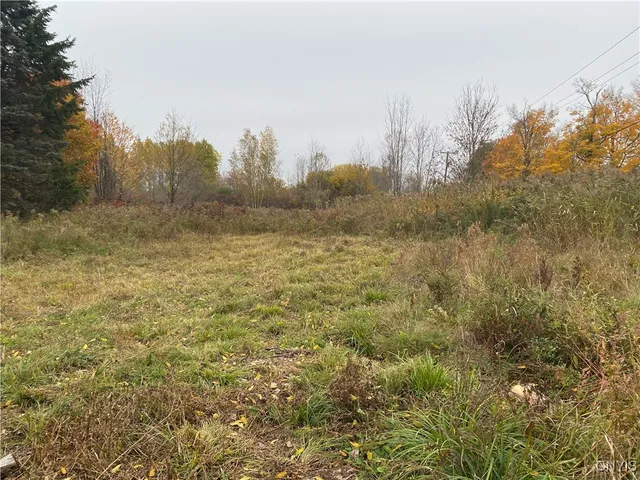 $4,000,000 | 0 Caughdenoy Road, Clay, NY 13041