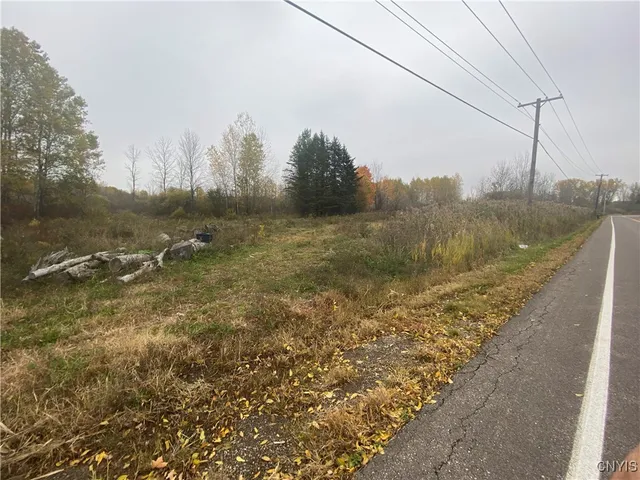 $4,000,000 | 0 Caughdenoy Road, Clay, NY 13041