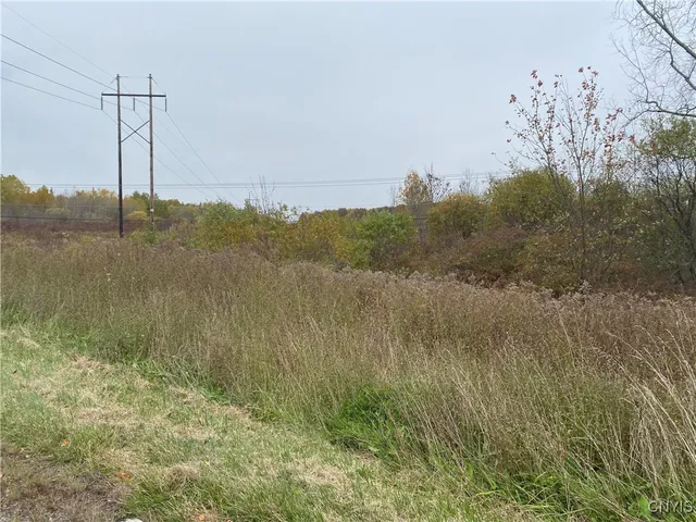 $4,000,000 | 0 Caughdenoy Road, Clay, NY 13041