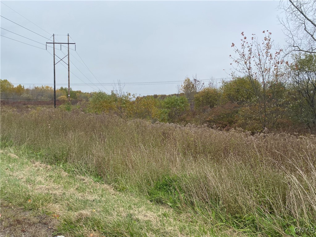 0 Caughdenoy Road Clay, NY 13041 - Photo 16 of 31