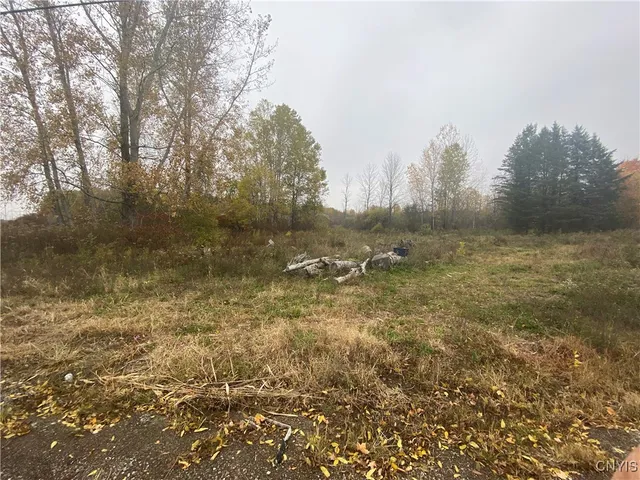 $4,000,000 | 0 Caughdenoy Road, Clay, NY 13041