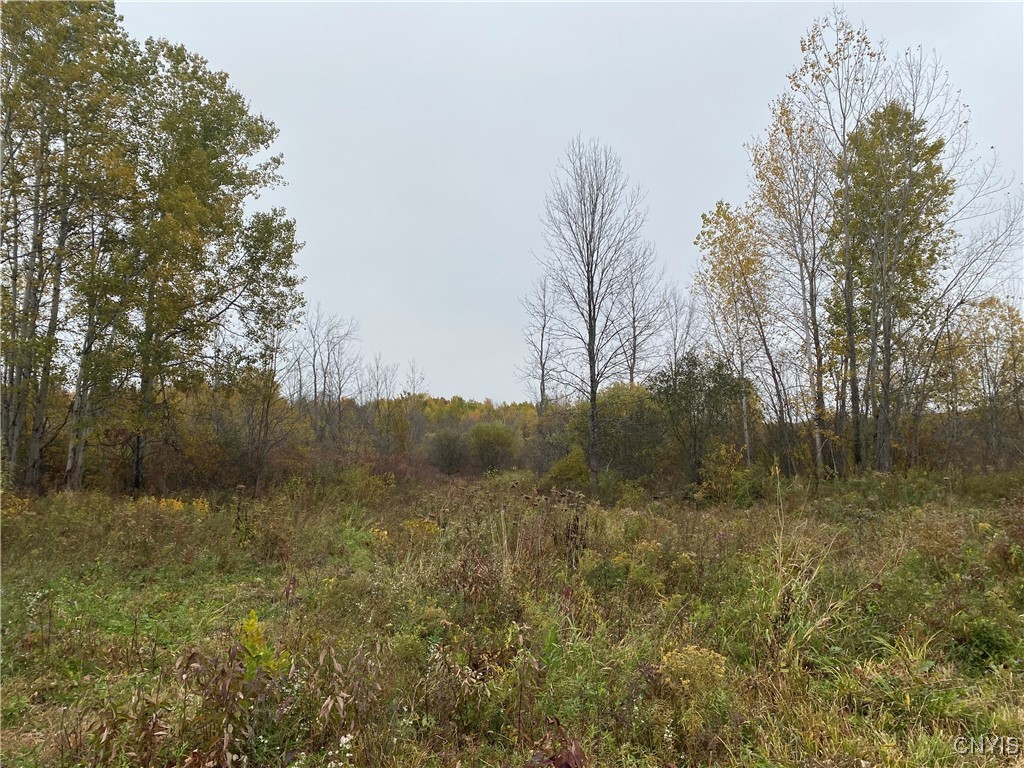 0 Caughdenoy Road Clay, NY 13041 - Photo 2 of 31