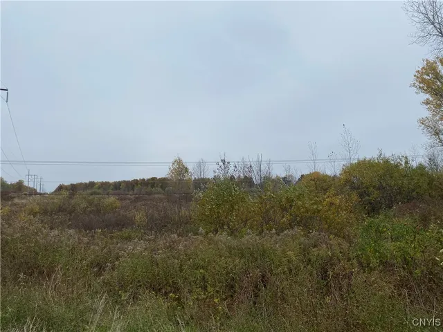 $4,000,000 | 0 Caughdenoy Road, Clay, NY 13041