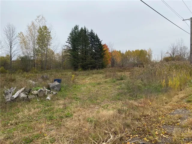 $4,000,000 | 0 Caughdenoy Road, Clay, NY 13041