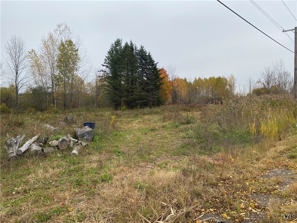 0 Caughdenoy Road Clay, NY 13041 - Photo 25 of 31