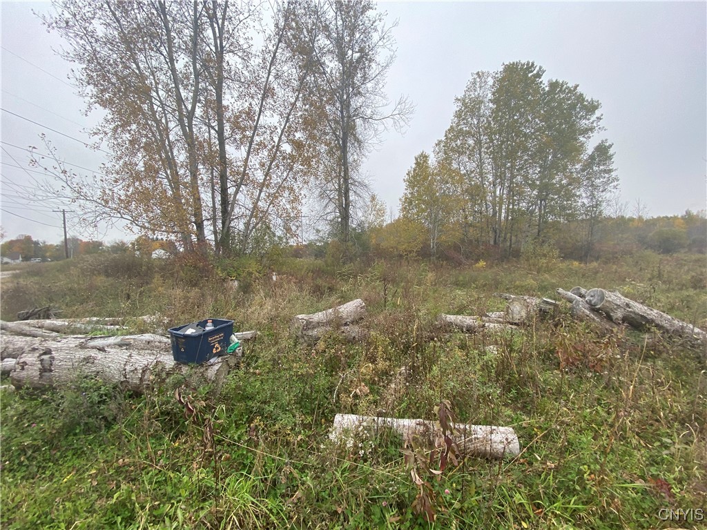 0 Caughdenoy Road Clay, NY 13041 - Photo 26 of 31