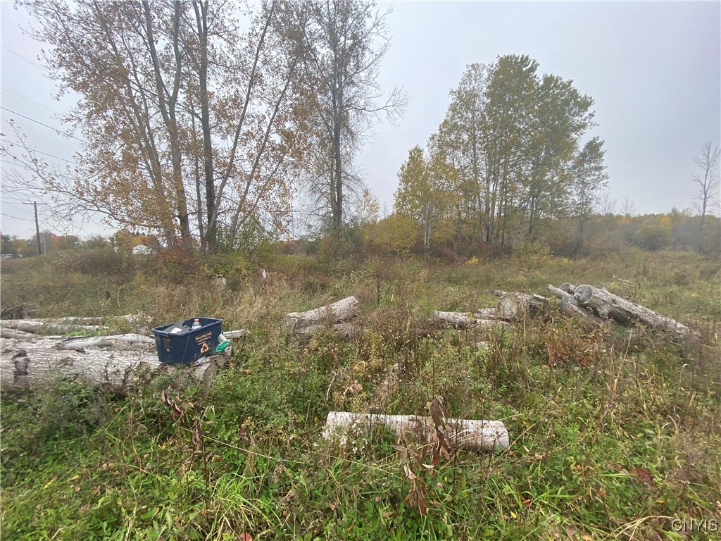 0 Caughdenoy Road Clay, NY 13041 - Photo 27 of 31