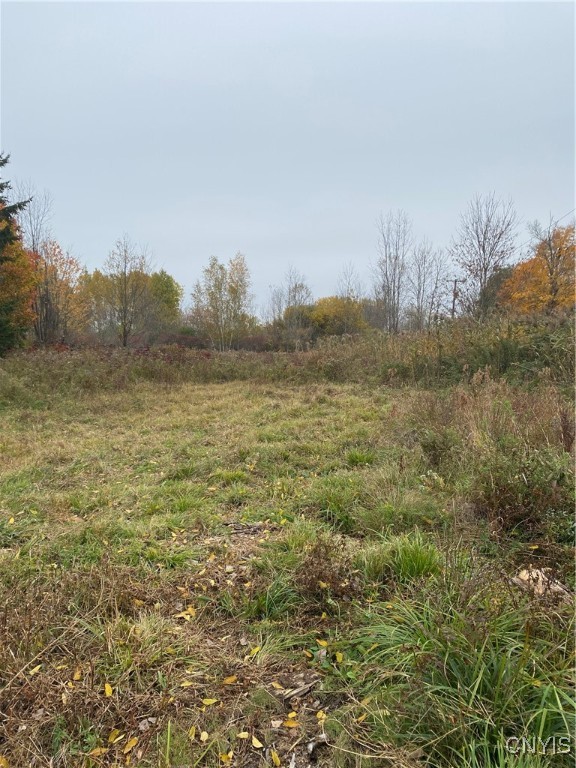 0 Caughdenoy Road Clay, NY 13041 - Photo 28 of 31