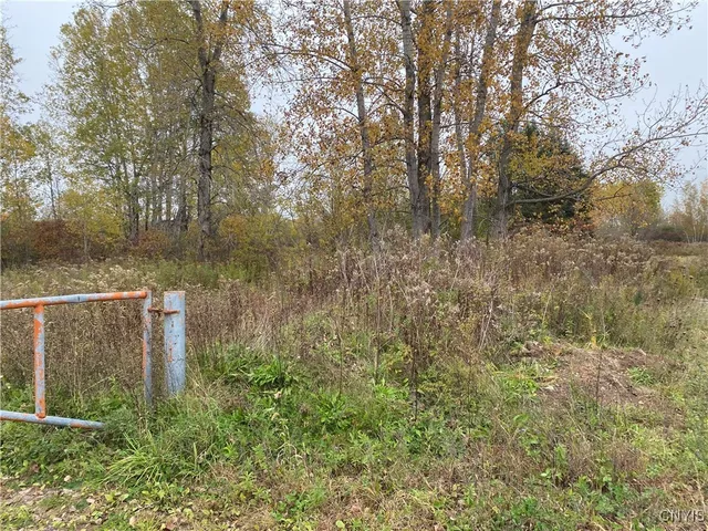 $4,000,000 | 0 Caughdenoy Road, Clay, NY 13041