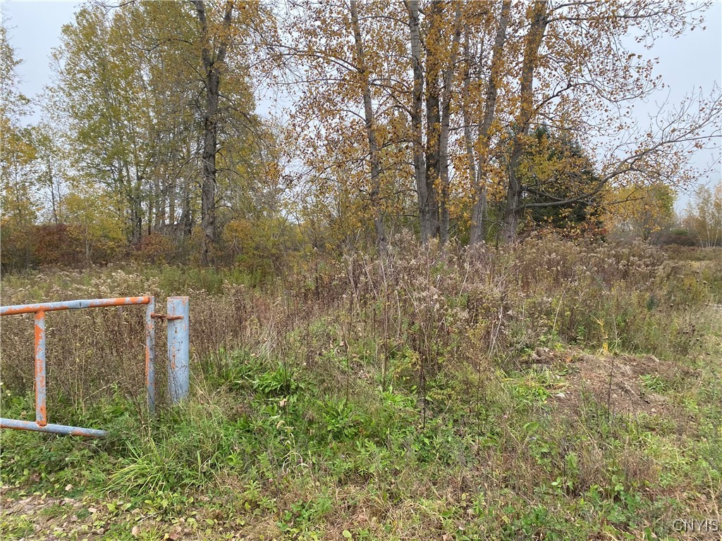 0 Caughdenoy Road Clay, NY 13041 - Photo 30 of 31