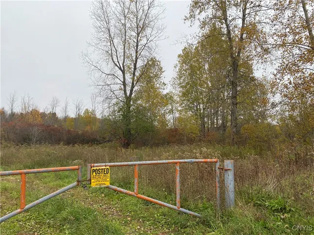 $4,000,000 | 0 Caughdenoy Road, Clay, NY 13041