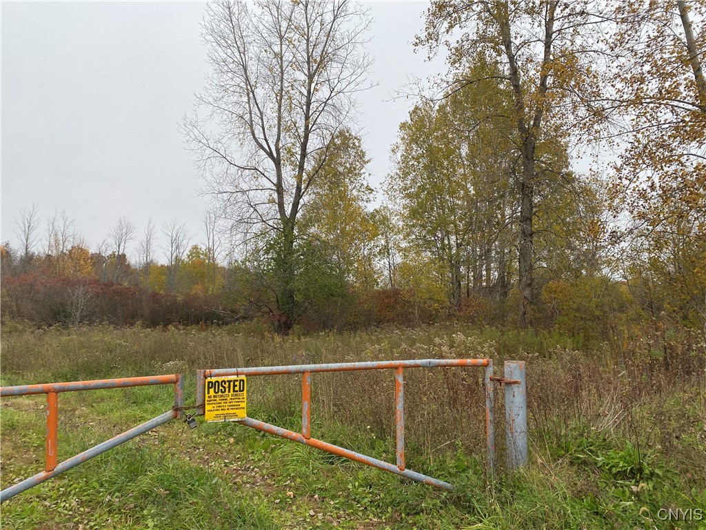 0 Caughdenoy Road Clay, NY 13041 - Photo 31 of 31