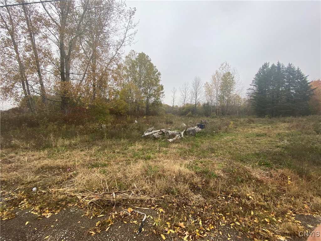 0 Caughdenoy Road Clay, NY 13041 - Photo 4 of 31