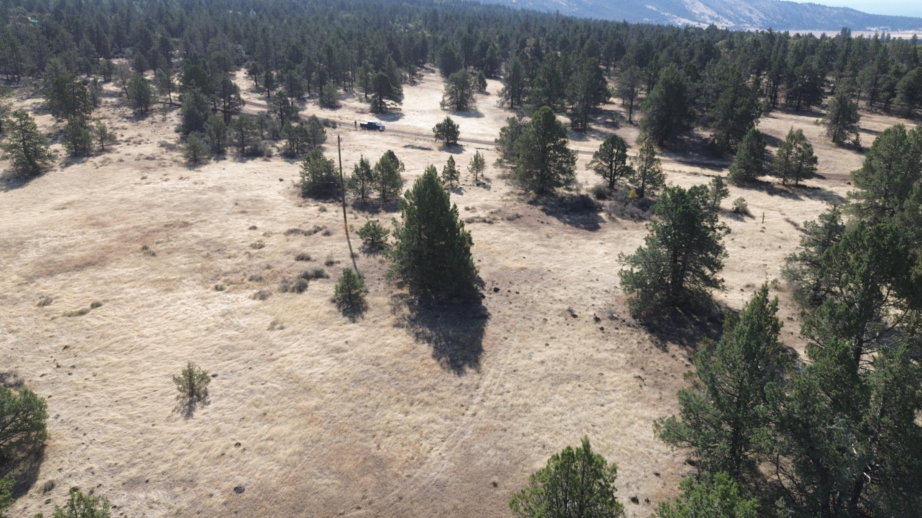 Nsa Old Hwy Road McArthur, CA 96056 - Photo 16 of 21 DJI_0405