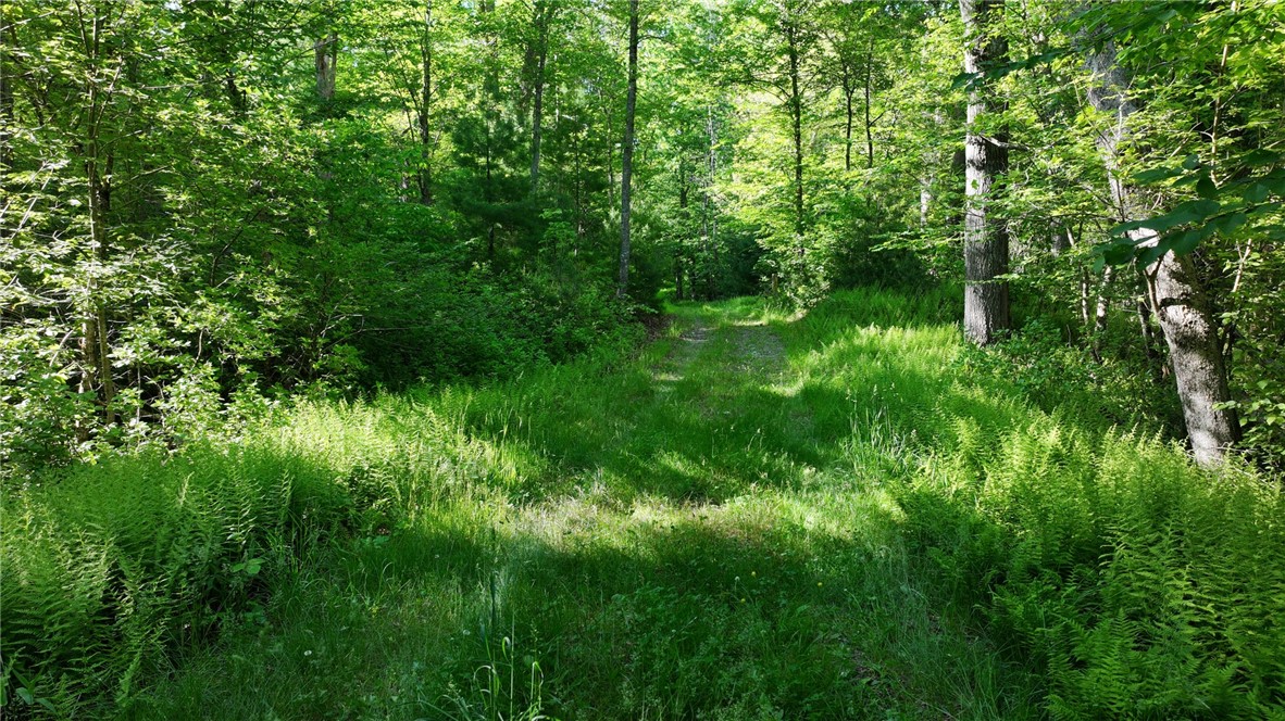 0 Barbs Hill Road Greene, RI 02827 - Photo 6 of 22 Gallery Image 6