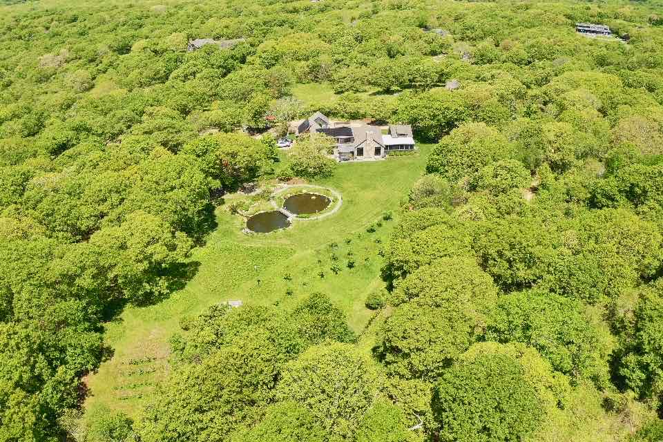 60 Meetinghouse Road Chilmark, MA 02535 - Photo 6 of 49 a view of a big yard with large trees