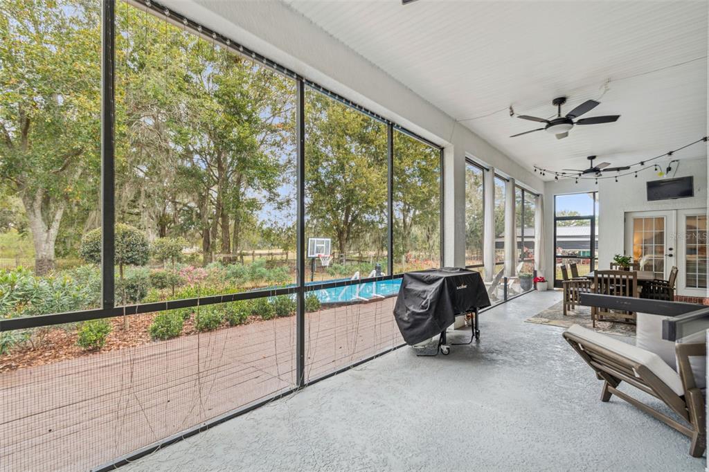 3077 Cork Road Plant City, FL 33565 - Photo 71 of 99 Gallery Image 71