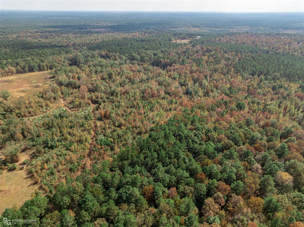 200 Martin Road Plain Dealing, LA 71064 - Photo 1 of 1 an aerial view of forest