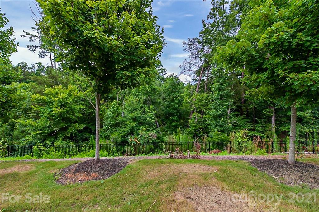 1021 Emory Lane Fort Mill, SC 29708 - Photo 23 of 24 a view of a tree in a yard