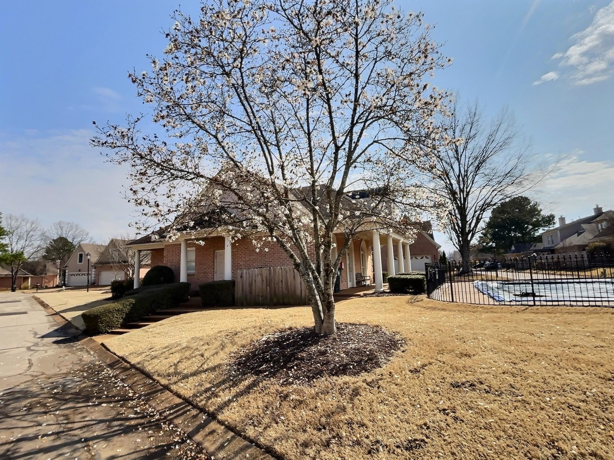1748 Higginson Square Collierville, TN 38017 - Photo 22 of 23 a front view of a house with a yard covered in snow
