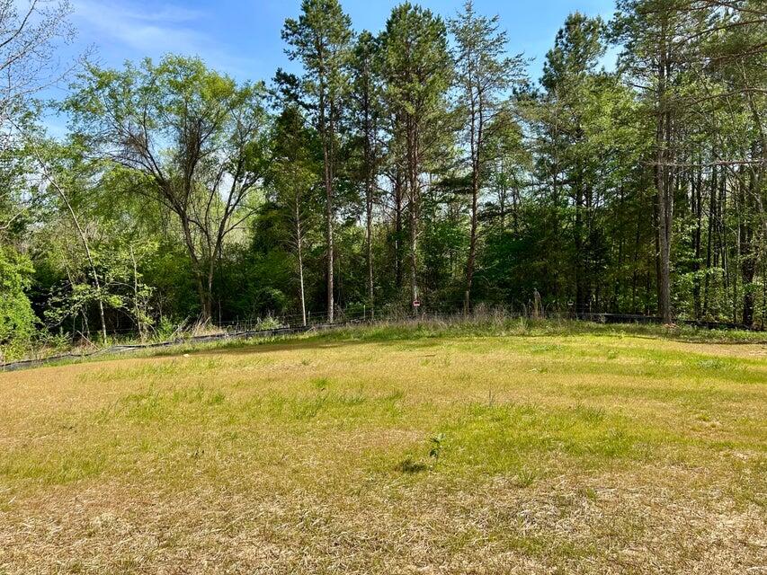 224 Sable Road Spring City, TN 37381 - Photo 18 of 22 20260421005524033716000000-o