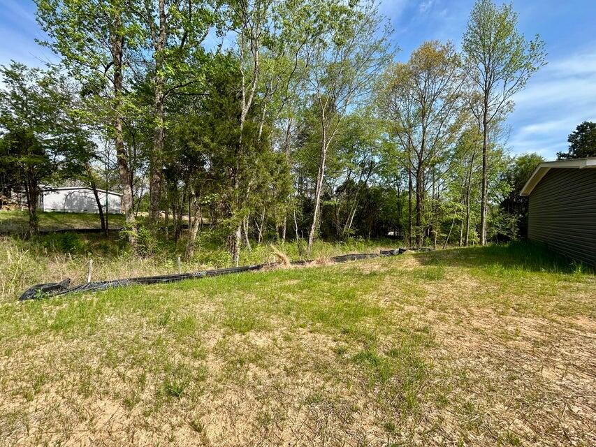 224 Sable Road Spring City, TN 37381 - Photo 2 of 22 20260421005553672743000000-o