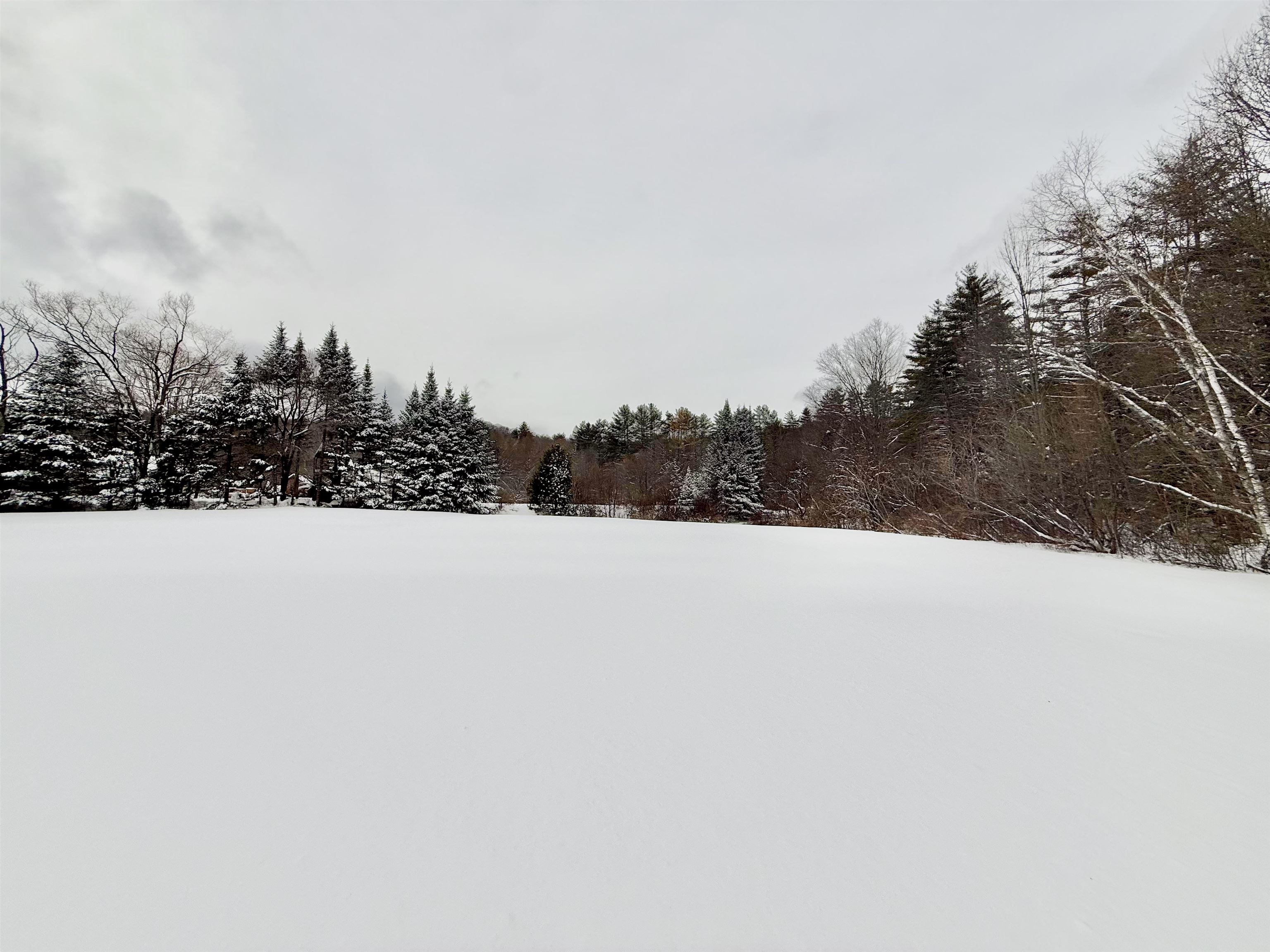 1876 Popple Dungeon Road Chester, VT 05143 - Photo 12 of 16 Gallery Image 12
